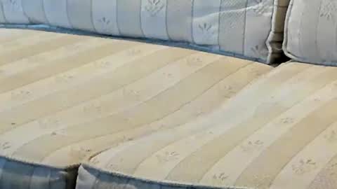Snapshot of jay_short7863 chatting on October 2, 2:27 pm O F jay short786 online show from October 2, 2:27 pm