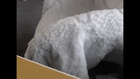 sissy gurl online show from December 12, 5:04 pm