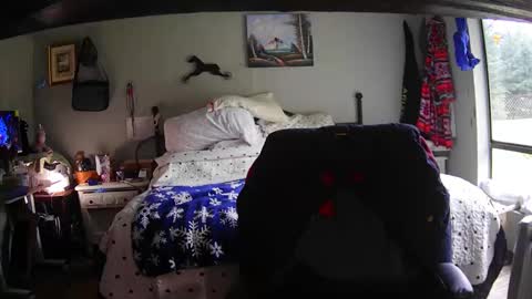 Grand Zaddy or Jay its casual online show from February 20, 10:34 pm