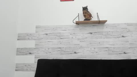 Jaycreedd online show from October 18, 3:38 pm