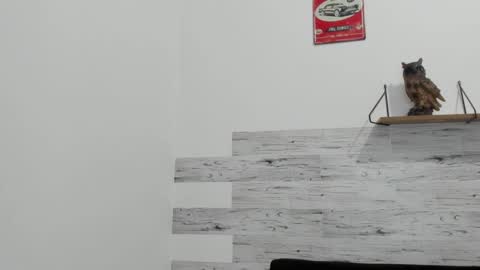 Jaycreedd online show from September 16, 11:52 pm