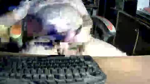 Jeffrey Sinclair online show from December 18, 1:34 am