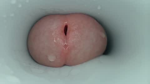 jeffrodgerschaturbat online show from October 3, 11:18 am