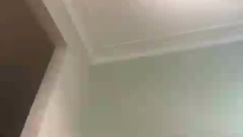 jennifer_robbie online show from June 17, 9:25 am