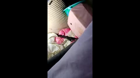 jerrytubbs51 online show from April 8, 8:17 am