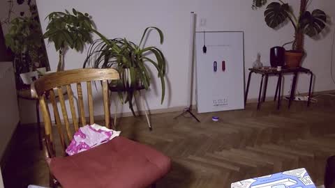 Jessie online show from January 10, 5:56 pm