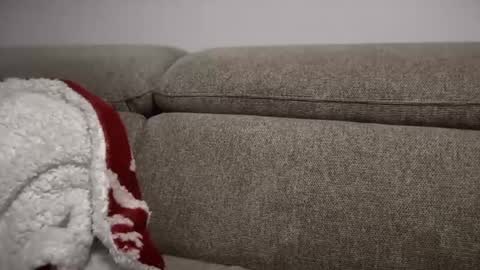 Jessye online show from October 2, 5:01 pm