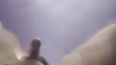 Uncut thick 5 online show from November 20, 11:42 am