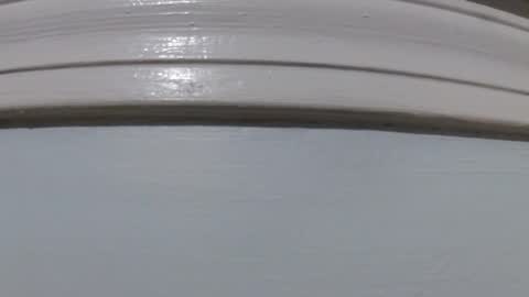 jimmyz500 online show from March 12, 9:51 pm