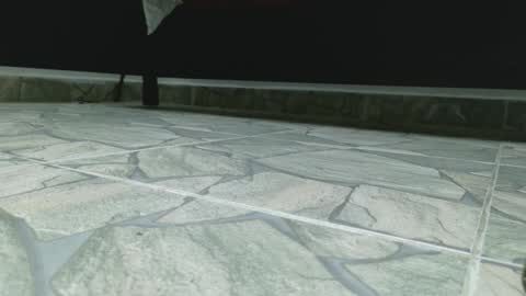 Jhulia online show from November 4, 2:07 pm