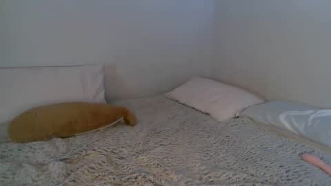 Jody online show from May 1, 4:23 pm