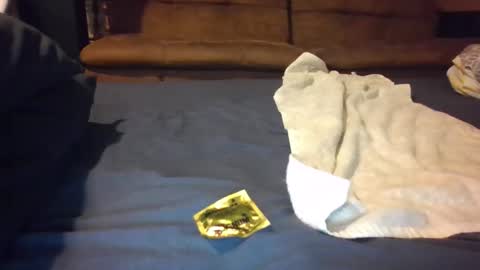 Johnny online show from April 22, 5:47 am