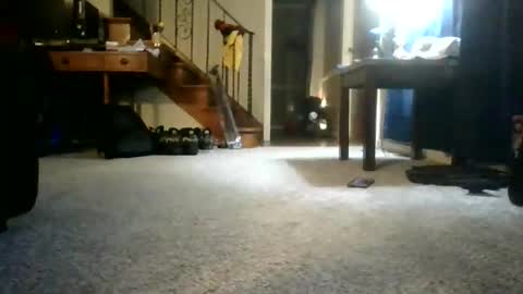 Johnynasty87 online show from June 7, 4:28 am
