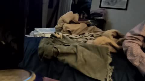 jojobrauer online show from September 26, 9:50 am