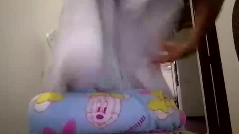 josepheape online show from April 25, 8:50 pm