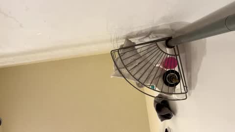 sissy josphine online show from February 15, 6:23 am