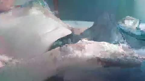 JP123 online show from April 9, 12:00 pm