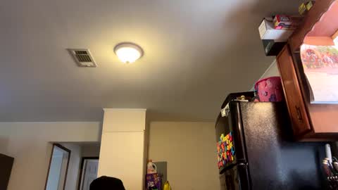 Assholelover online show from February 27, 6:31 pm