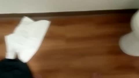 manolito online show from January 19, 12:06 pm