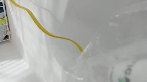 junior_bigcock3 online show from April 25, 6:49 pm