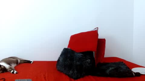 KARLA online show from January 26, 8:34 pm