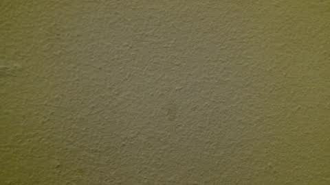 Just marlon online show from March 3, 2:15 am