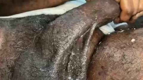 Snookie online show from December 4, 6:11 pm