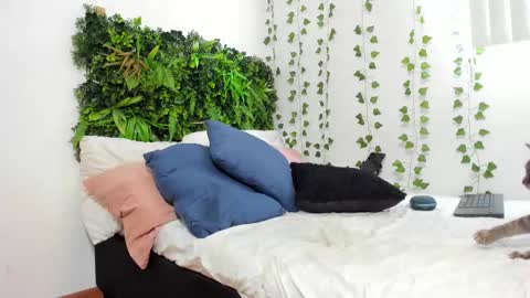 Karlye online show from February 9, 5:54 pm