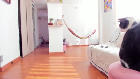 Karlye online show from January 22, 2:24 pm