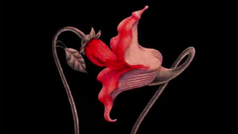 katsuro online show from October 24, 10:43 pm