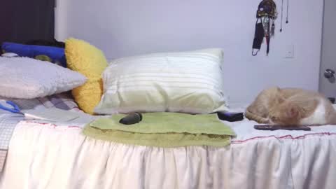  Khawit  online show from October 29, 1:57 pm