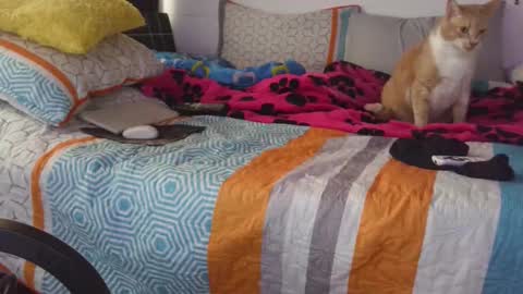  Khawit  online show from September 14, 12:17 pm