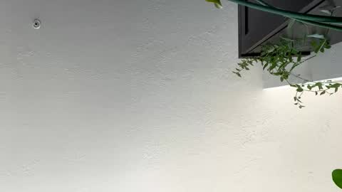 keepquietj online show from January 17, 7:38 pm