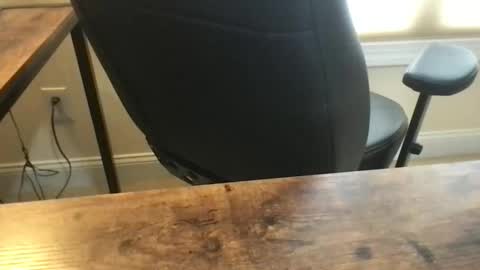 kickboxer04 online show from April 14, 5:16 pm