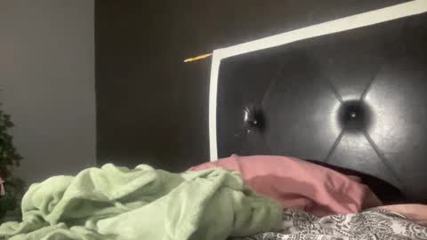 Snapshot of kinkykittee chatting on February 1, 3:08 am Bunniii online show from February 1, 3:08 am