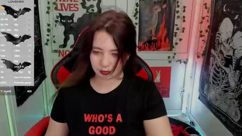 meow online show from June 26, 12:54 pm