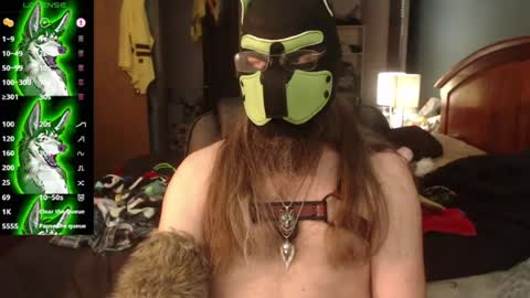 kinkywolf87 online show from June 29, 7:13 pm