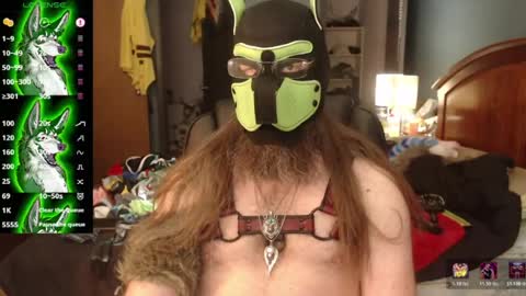 kinkywolf87 online show from July 5, 9:44 pm
