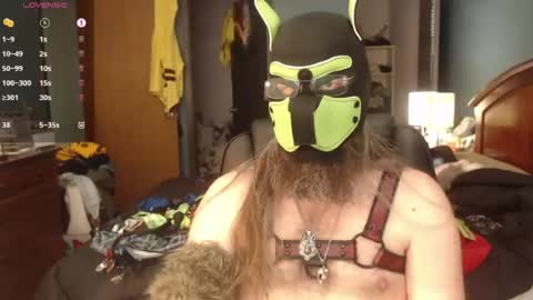 kinkywolf87 online show from June 22, 7:21 pm