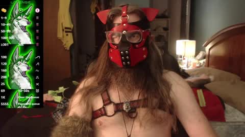 kinkywolf87 online show from July 25, 5:55 pm