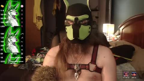 kinkywolf87 online show from July 6, 10:12 pm