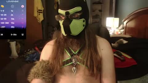 kinkywolf87 online show from June 15, 5:16 pm