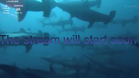 Kira online show from January 17, 5:55 pm