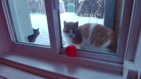 Snapshot of kiveuxmakeu chatting on December 27, 9:11 pm kiveuxmakeu online show from December 27, 9:11 pm