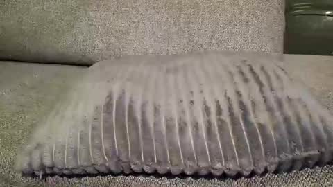 koelie1982 online show from January 22, 1:10 am