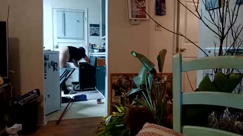 lacybell online show from November 5, 3:19 am