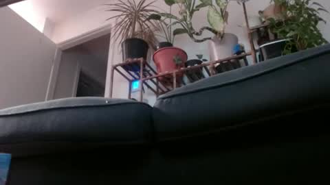 Snapshot of laidback_and_chill chatting on February 1, 3:08 am Rick online show from February 1, 3:08 am