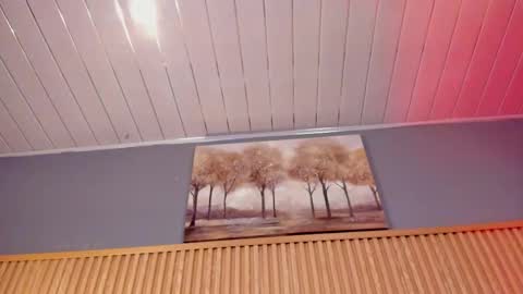 ... .          . ... online show from January 15, 1:20 pm