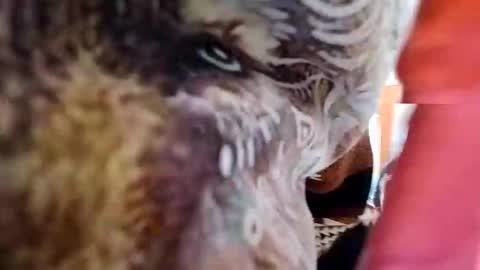 langederek2 online show from March 21, 8:57 pm