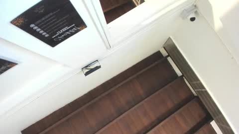 Johana y Santiago online show from November 2, 4:01 am